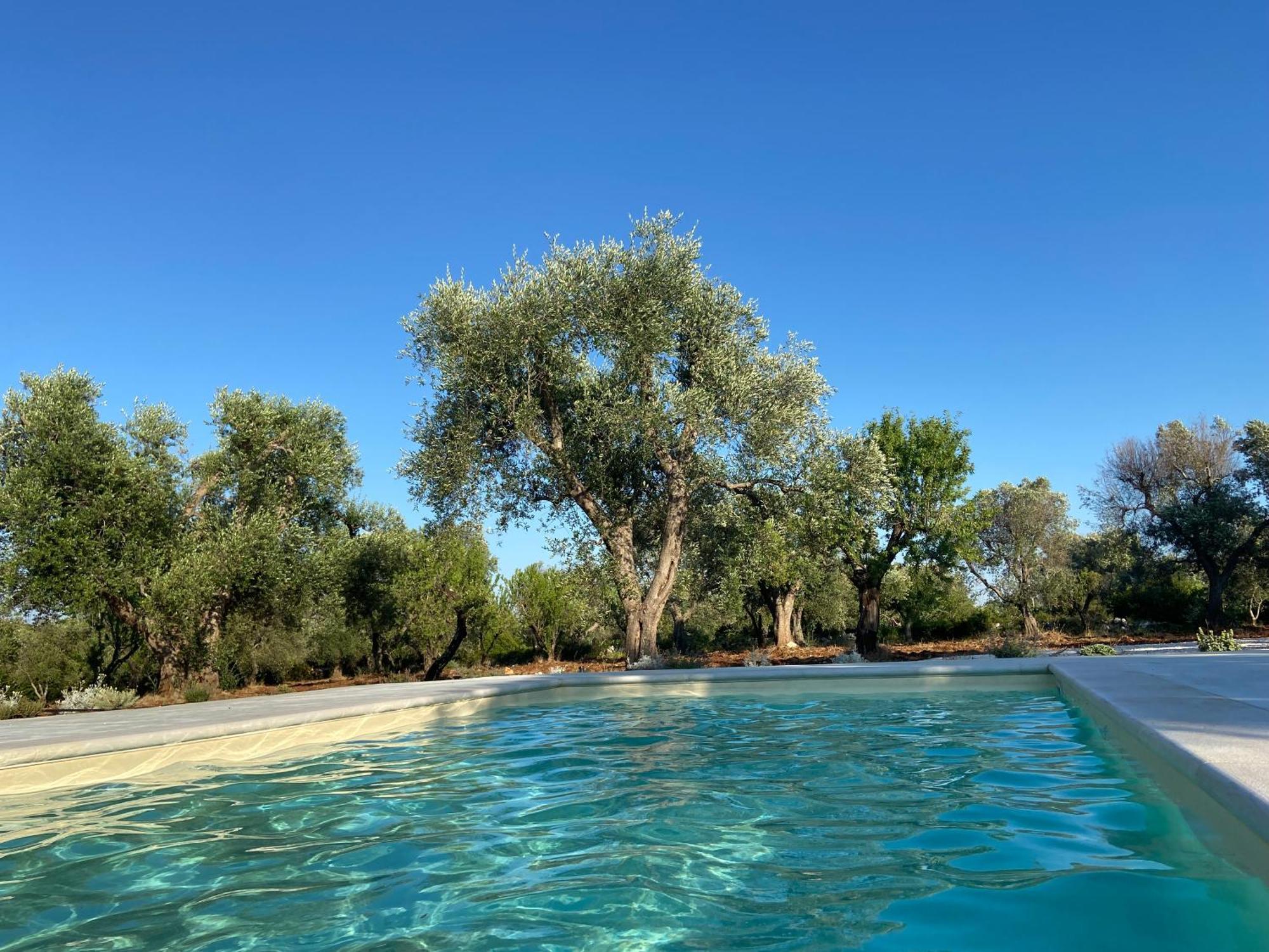 Trullo Fiorone With Private Pool Villa San Michele Salentino Exterior photo